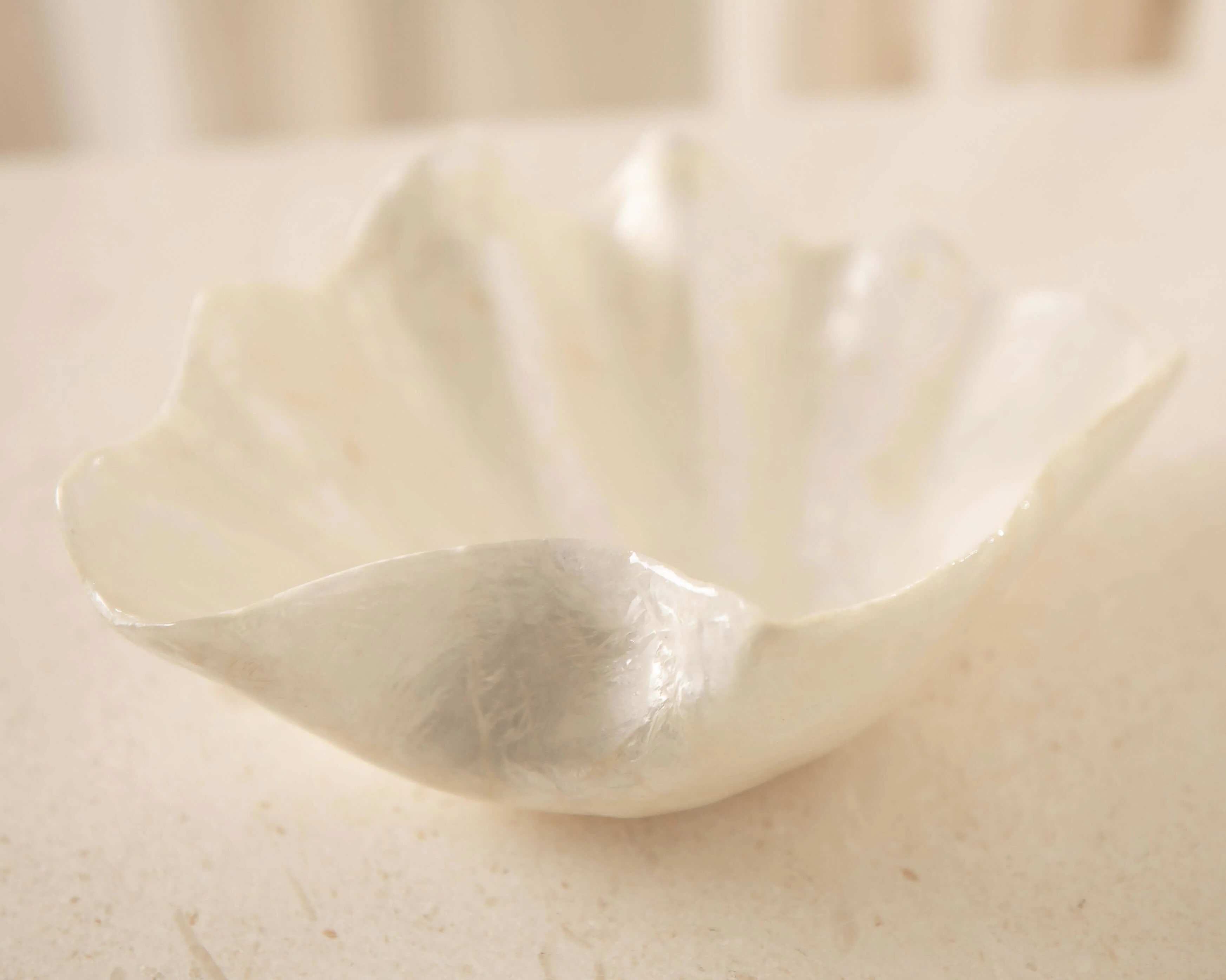 Clam Dish - Image 4