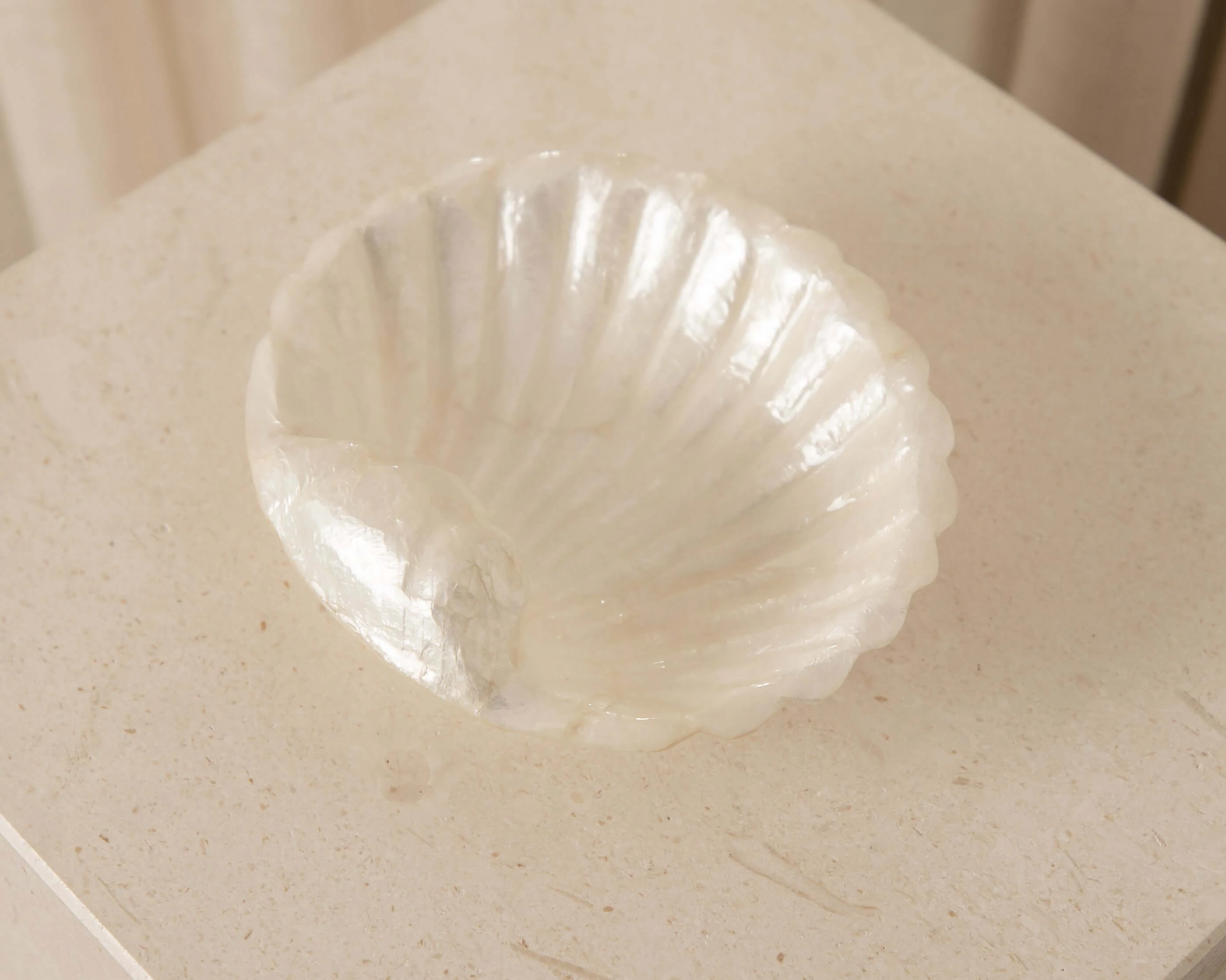 Shell Dish - Image 3