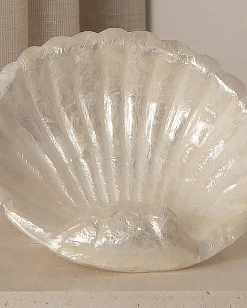 Shell Dish - Image 4