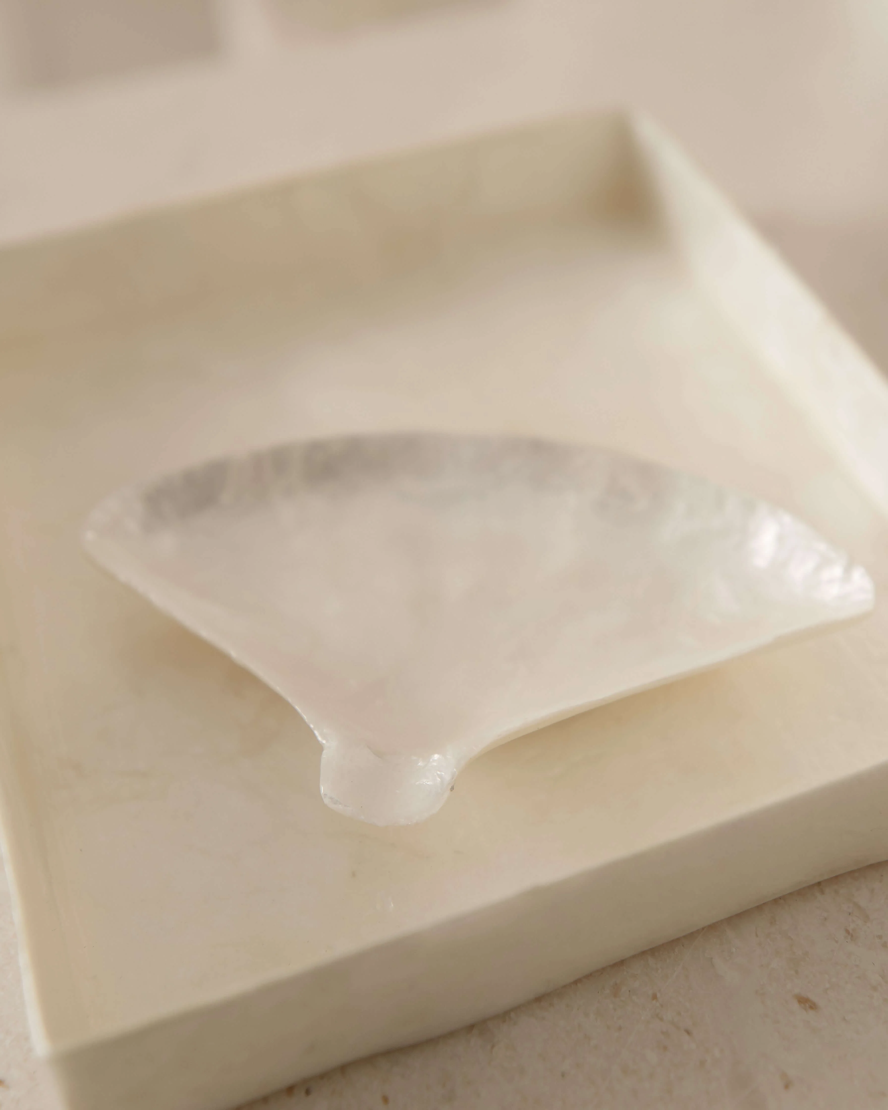 Tray and Fan Dish Set - Image 3